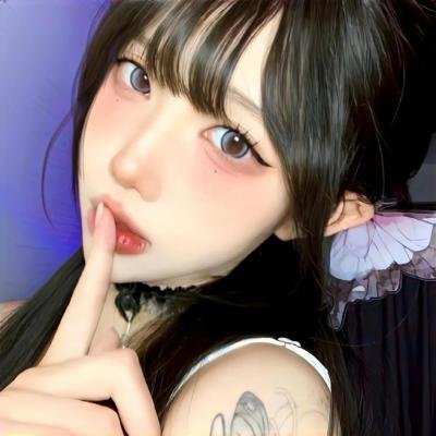 极岛森林第二季